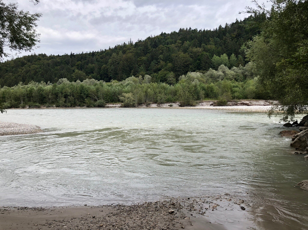 Baumkronenweg Ziegelwies景点图片