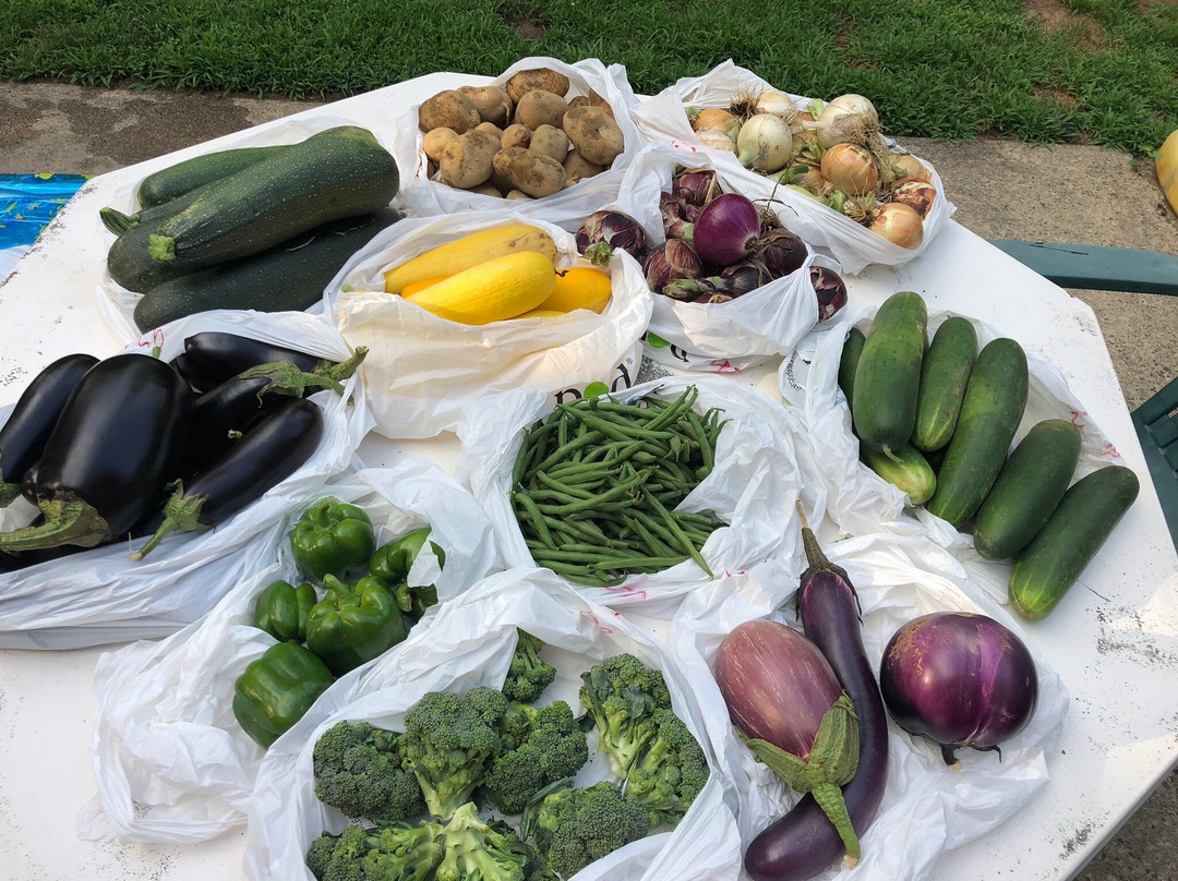 Hallock's U-Pick Farm-New Egypt必去景点