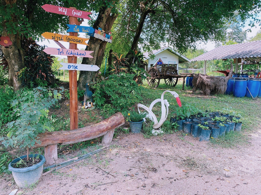 Dok Krai Reservoir-匹他那尼可必去景点