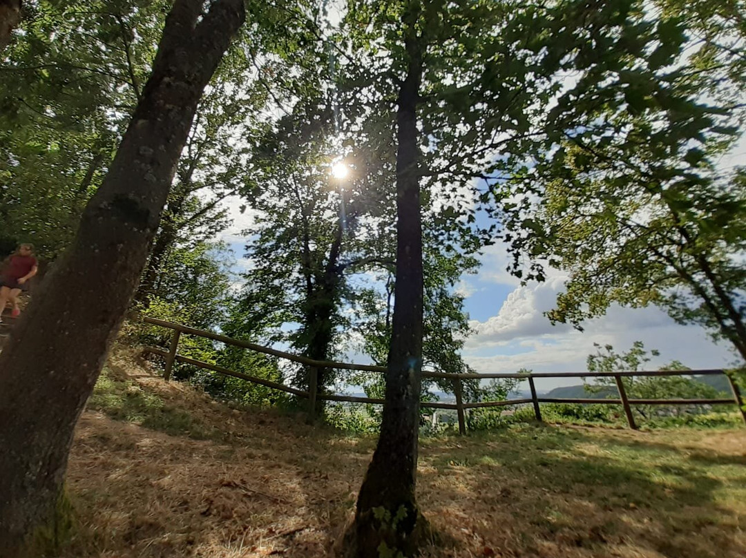 Burgruine Donaustauf-Donaustauf必去景点