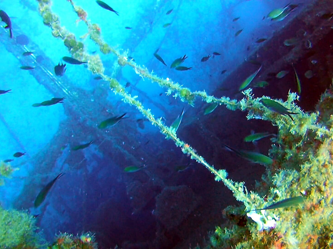 GoDive Mykonos PADI Diving Resort景点图片