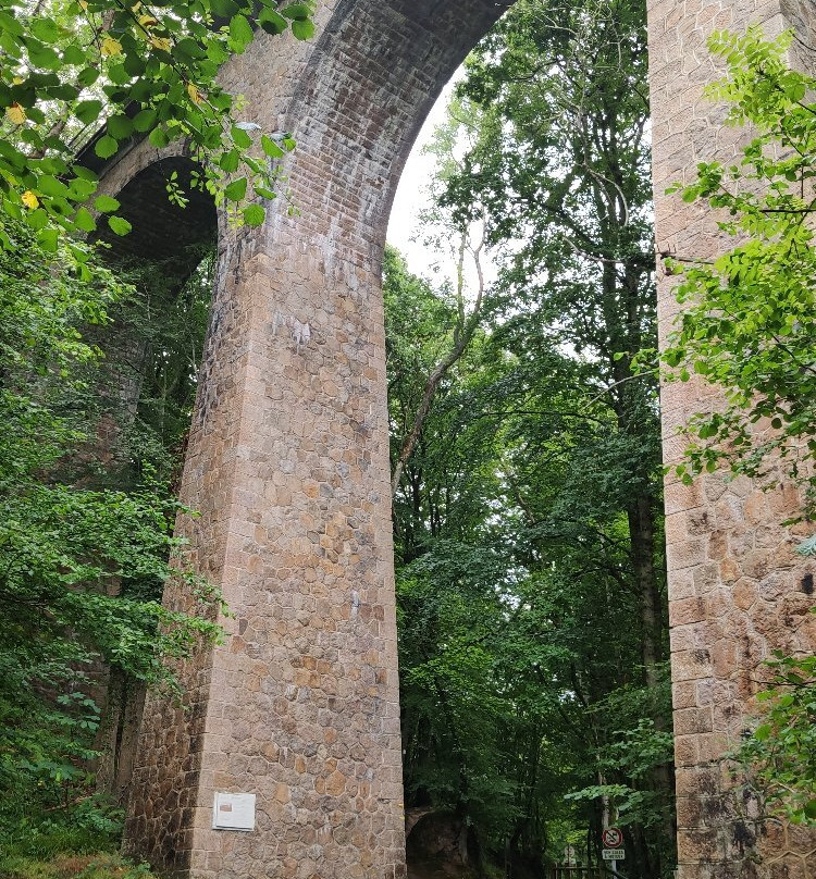 Vallée des Moulins景点图片