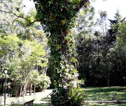 曲调多巴胺赫瑞宾馆主图