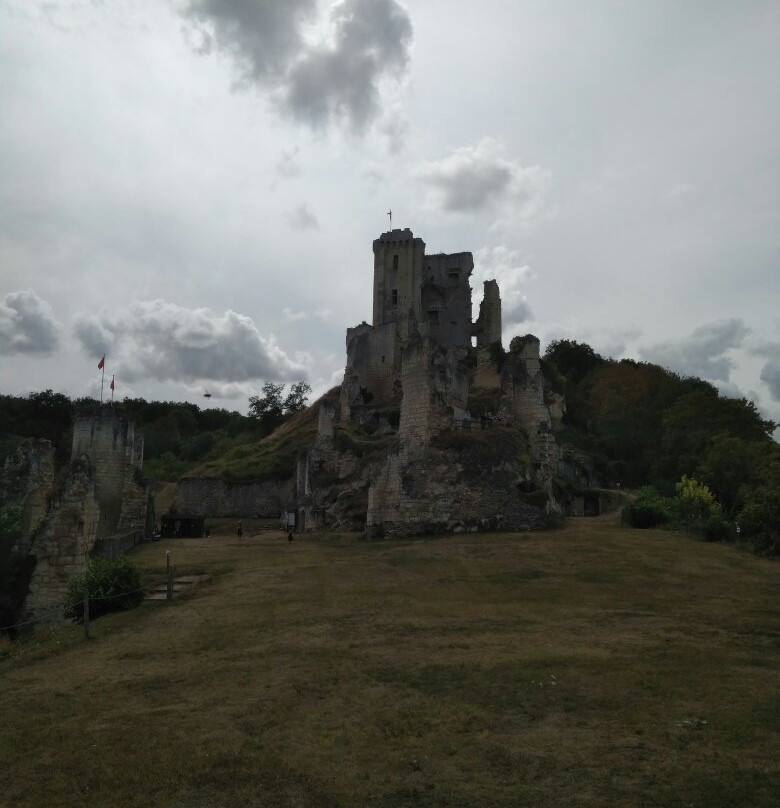 Chateau de Lavardin景点图片
