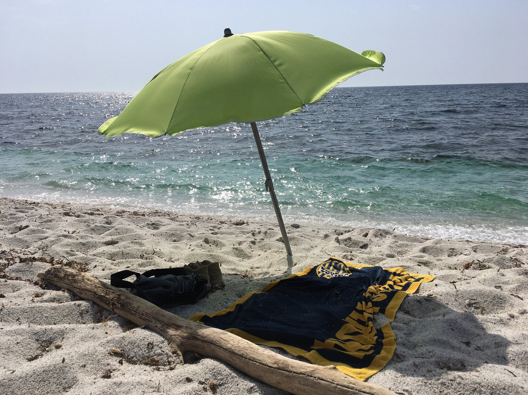 B&B Sa Babbaiola主图