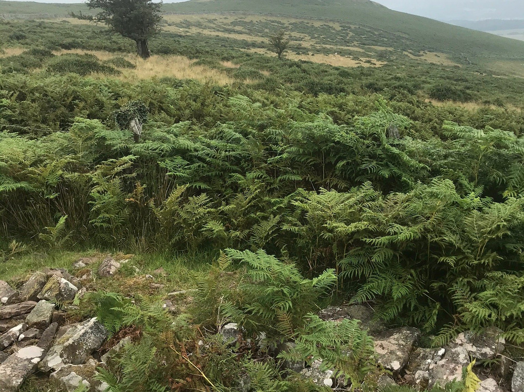 Crug Hywel (Table Mountain)-Crickhowell必去景点