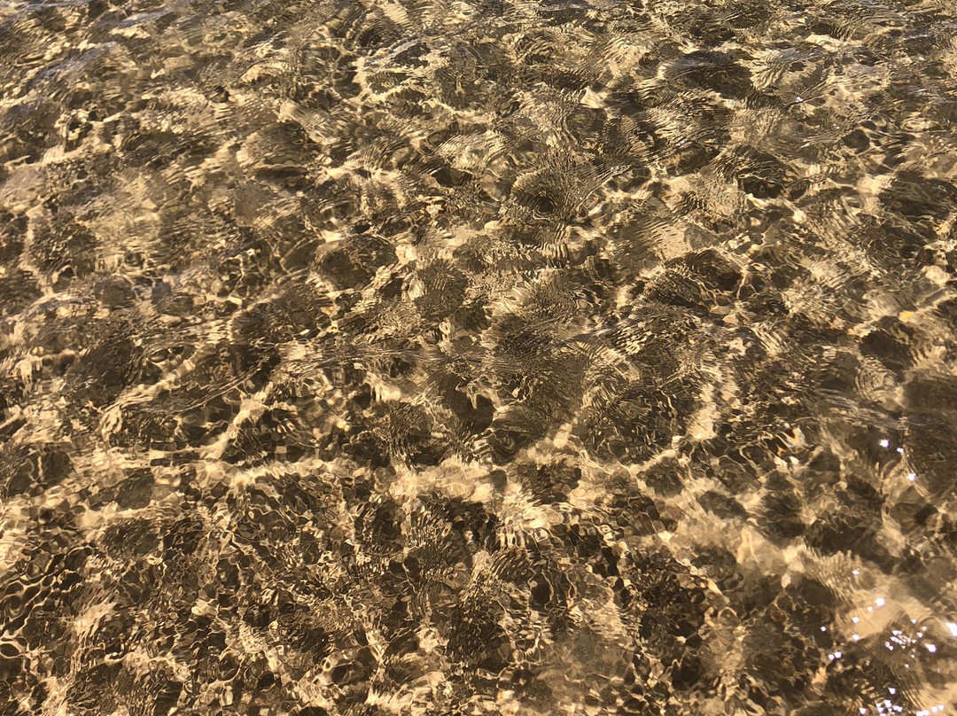 Whitefish Dunes State Park-斯特金贝必去景点