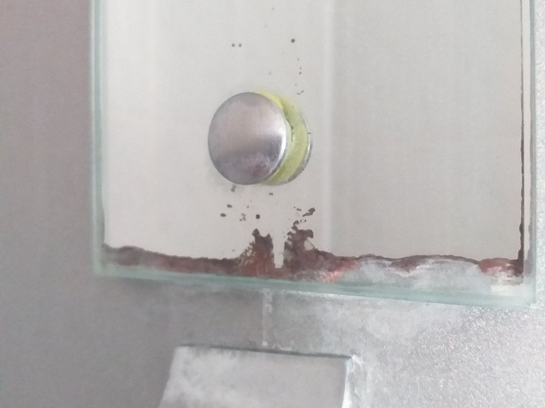 圣文森特酒店主图