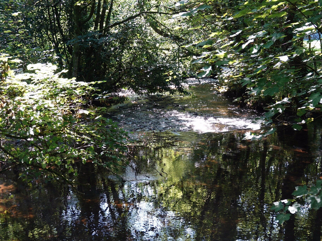 St Breward to Lank Circular Walk-St. Breward必去景点