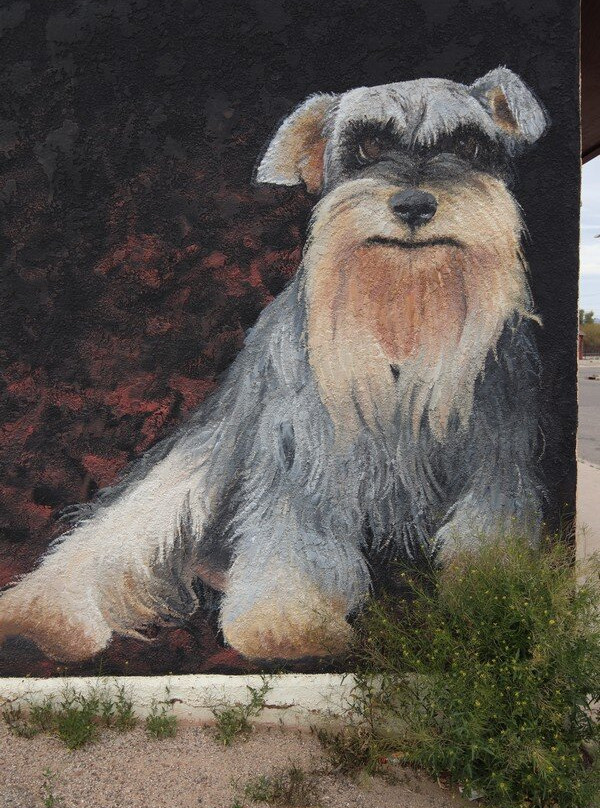 Endeavor Art Gallery-Benson必去景点