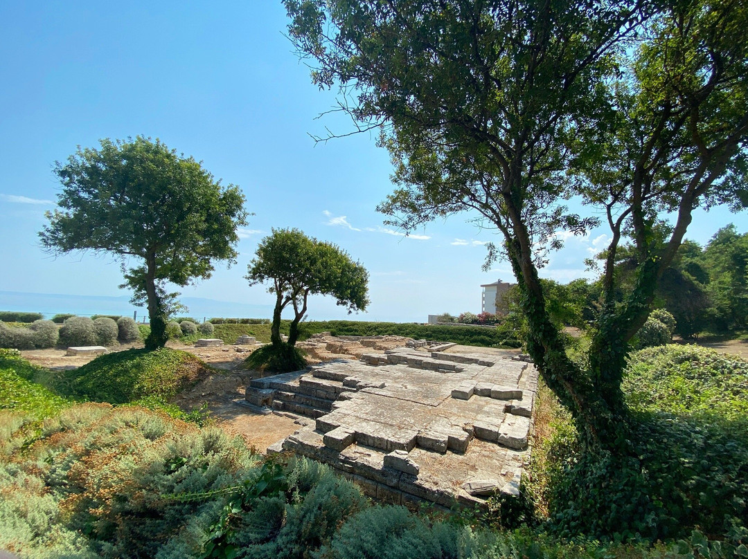 Temple of Ammon Zeus景点图片