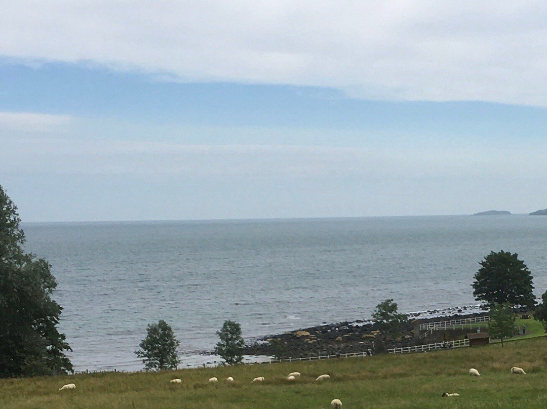 Carnfunnock Country Park景点图片
