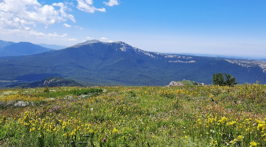 Mountain Demerdzhi-Alushta Municipality必去景点
