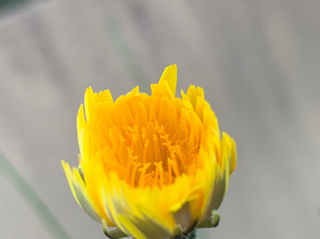 Arundel Hills Country Club-Arundel必去景点