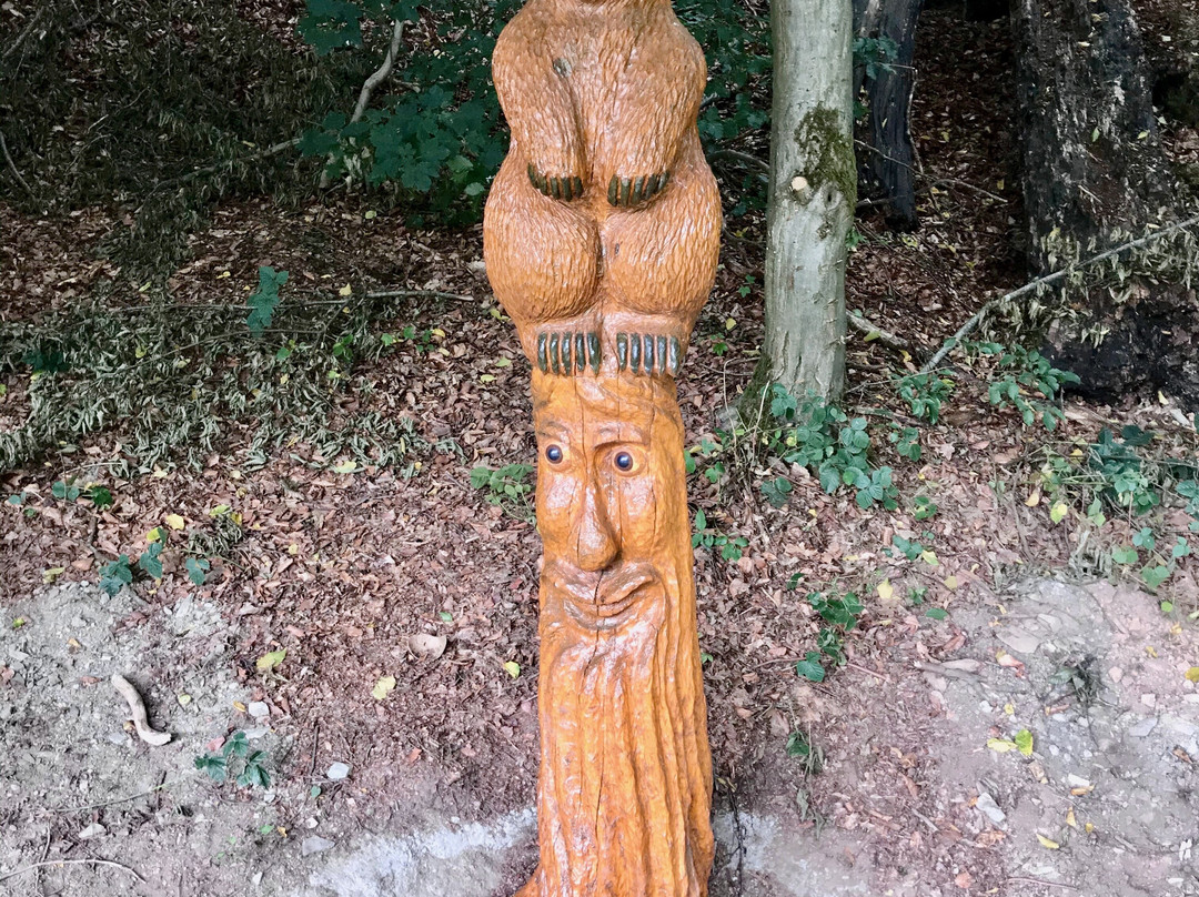 Bärenfichtenweiher-Schmitten必去景点
