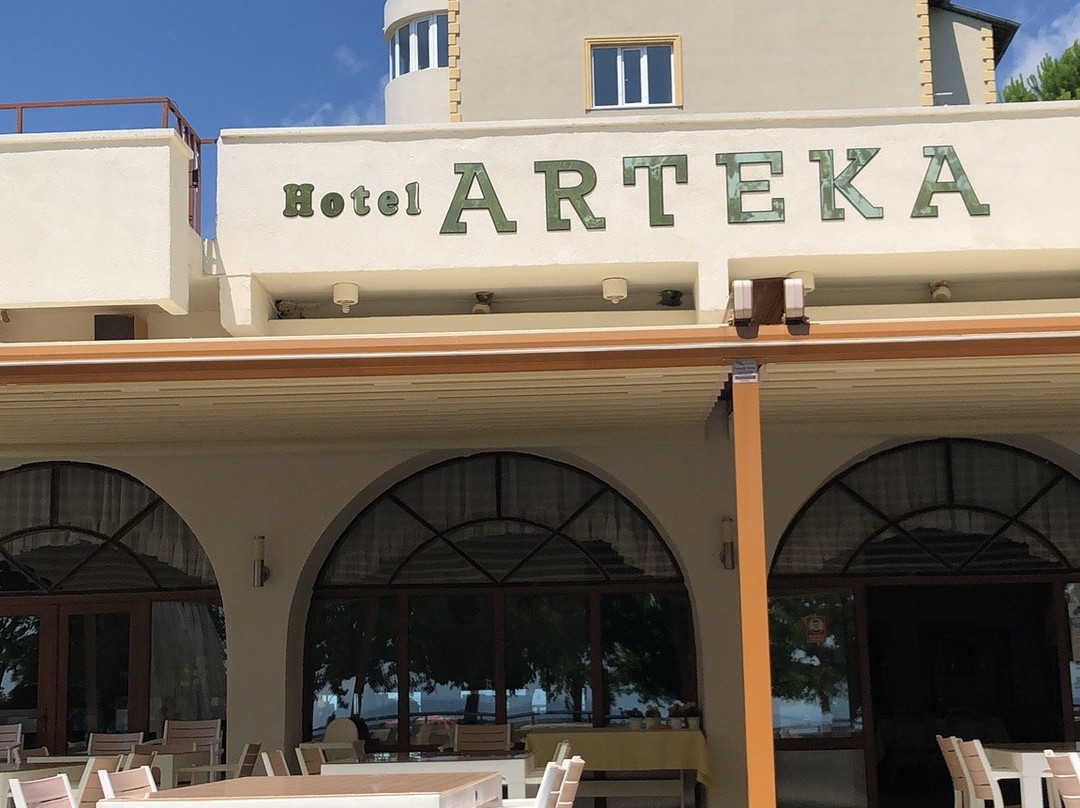 Hotel Arteka主图