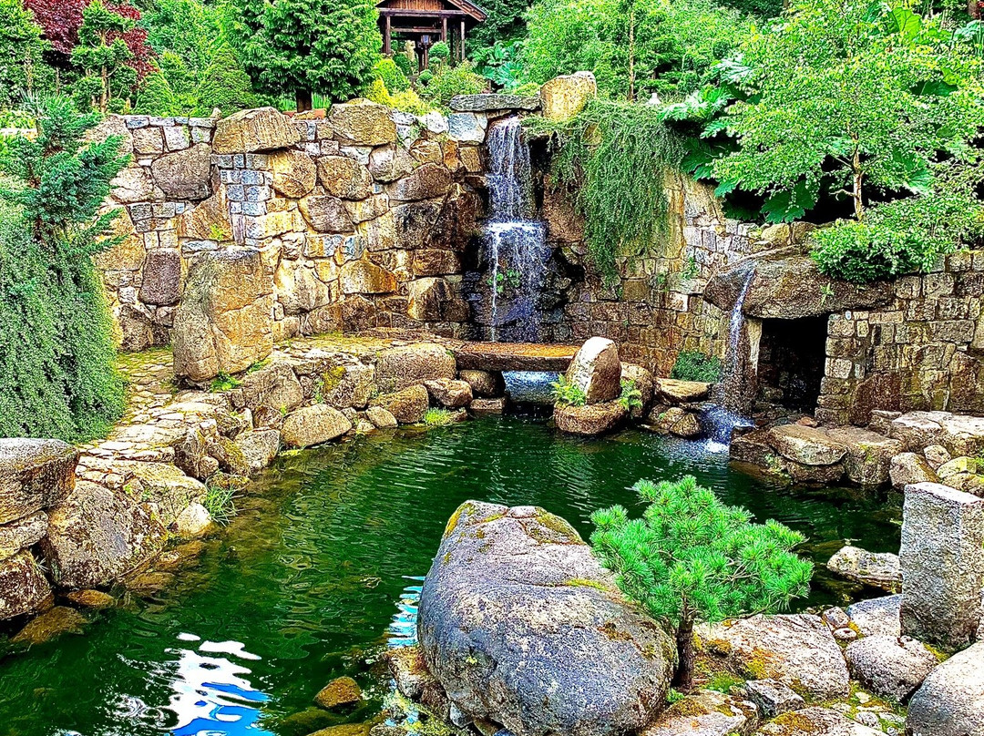 Siruwia - Japanese Garden景点图片