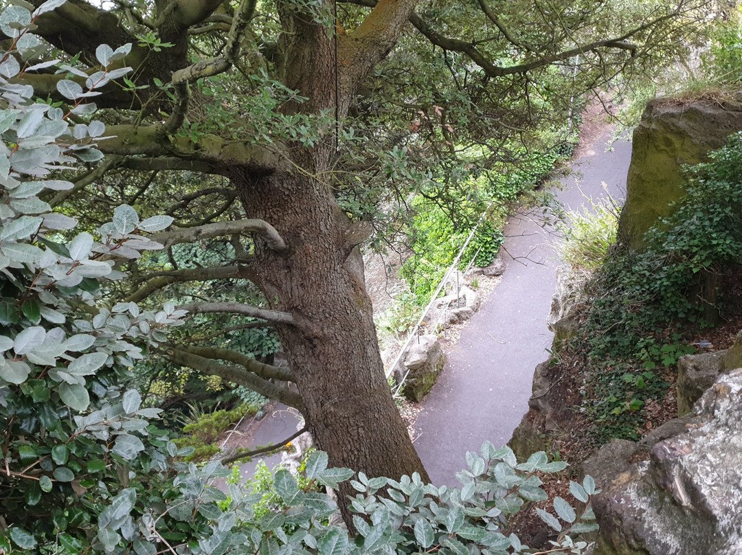 Zig Zag Path-福克斯通必去景点