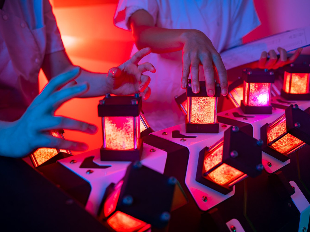 LIVE Corp. Escape Game-蒙彼利埃必去景点