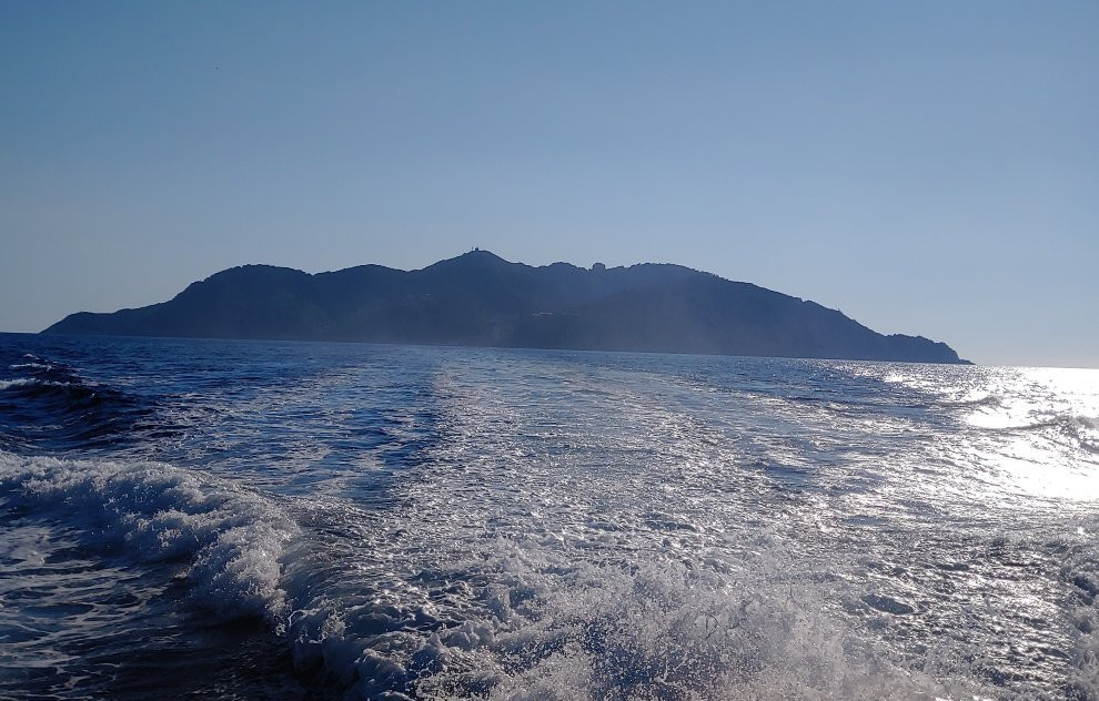 Isola di Gorgona景点图片