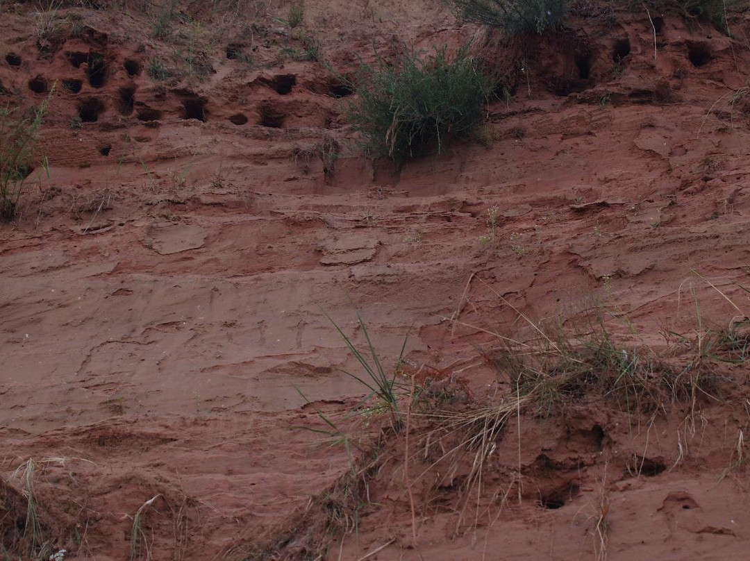 Kallaste Outcrop-Kallaste必去景点