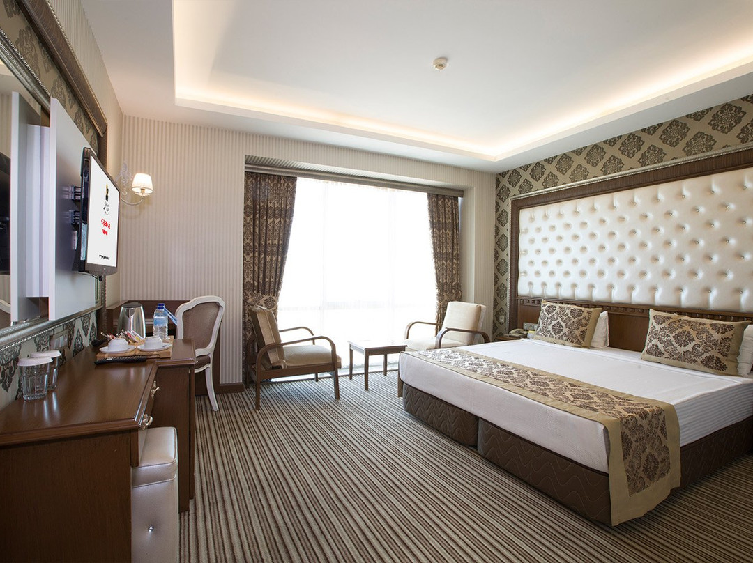 Grand Altuntas Hotel主图