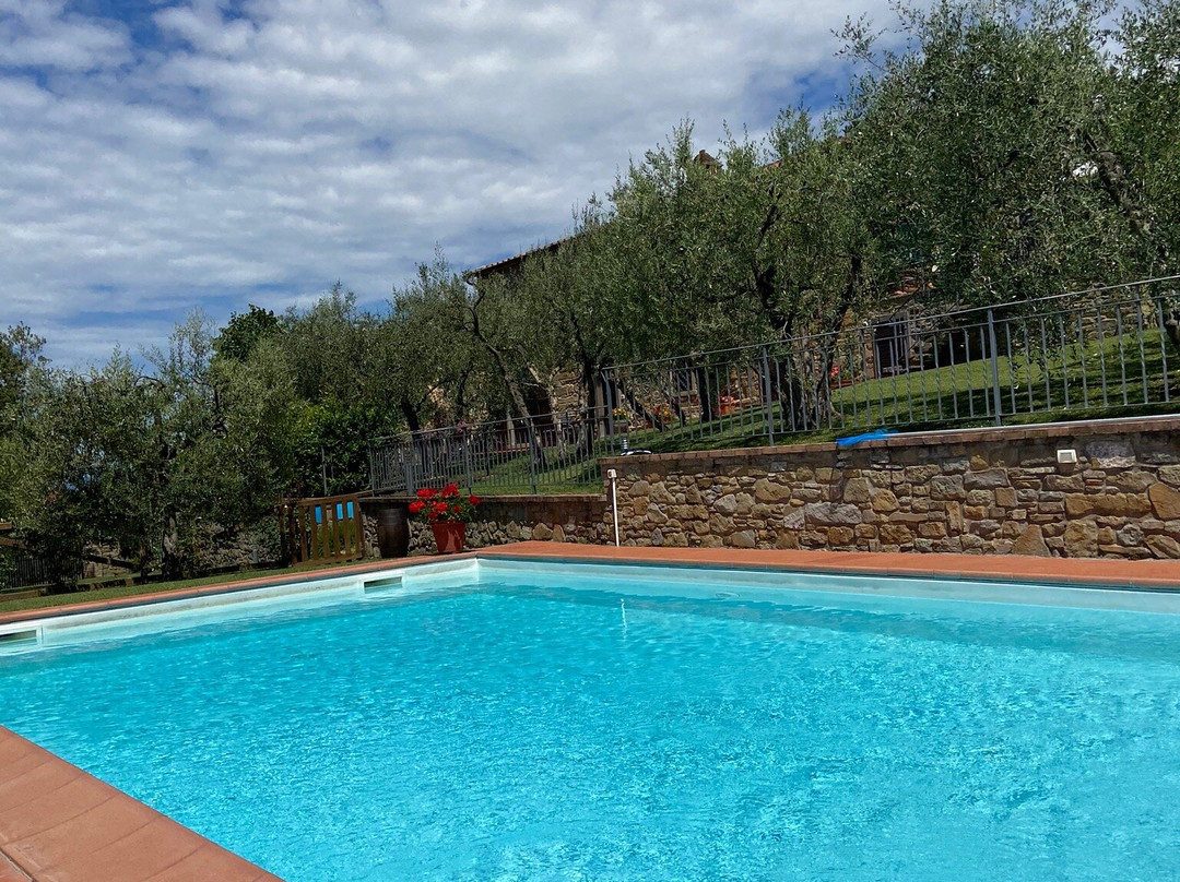 Agriturismo Borgo Tra Gli Olivi主图