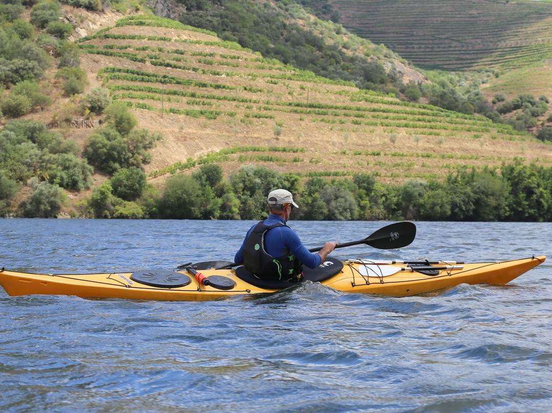 Portugal Kayak-阿威罗必去景点