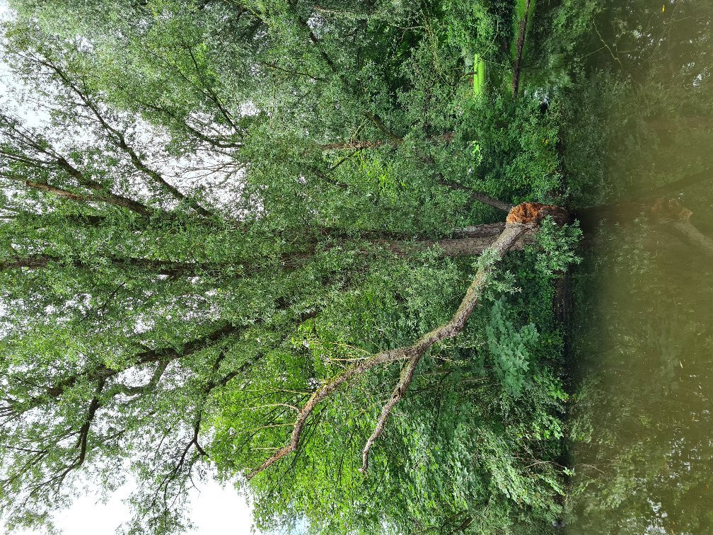Noorderplantsoen Park-格罗宁根省必去景点