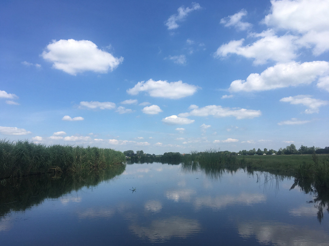 Broeker Bootverhuur Fluisterboot景点图片