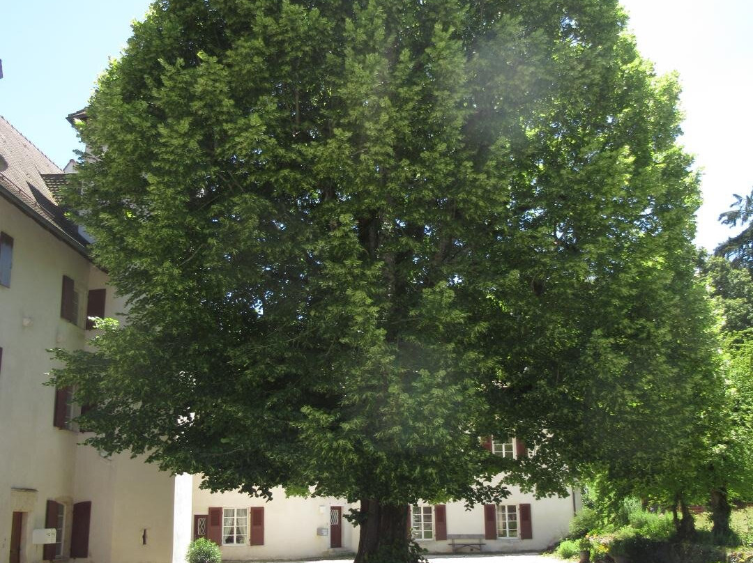 Domaine du Lowenburg-Lowenburg必去景点