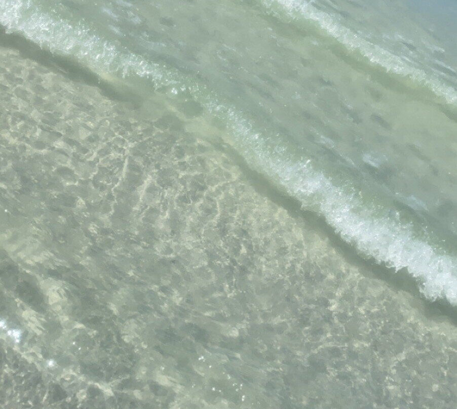 Manatee Public Beach景点图片