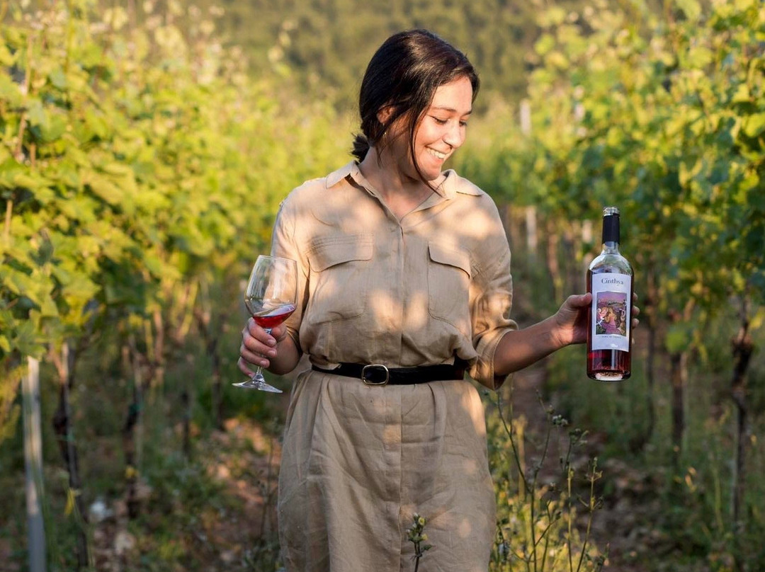 Cantine Merinum-维耶斯泰必去景点