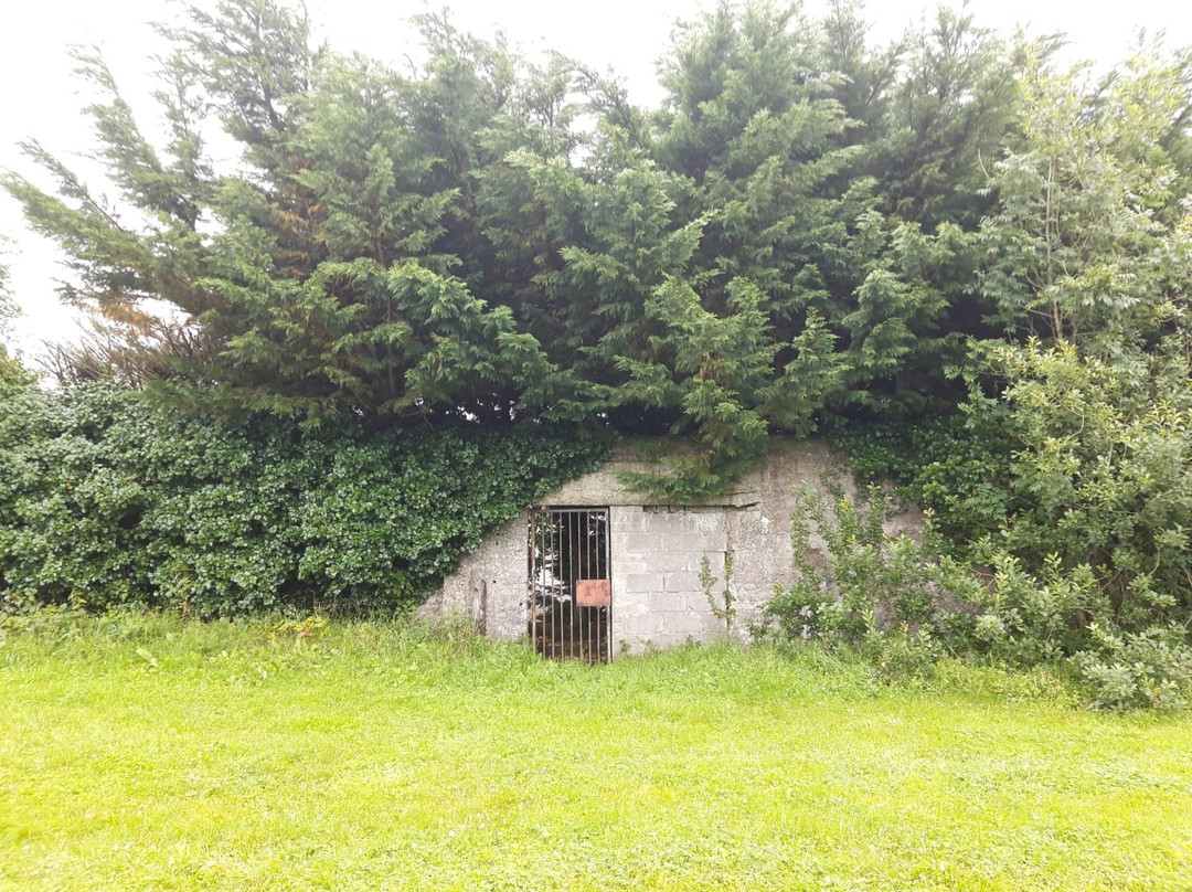 Old Rail Trail-Mullingar必去景点
