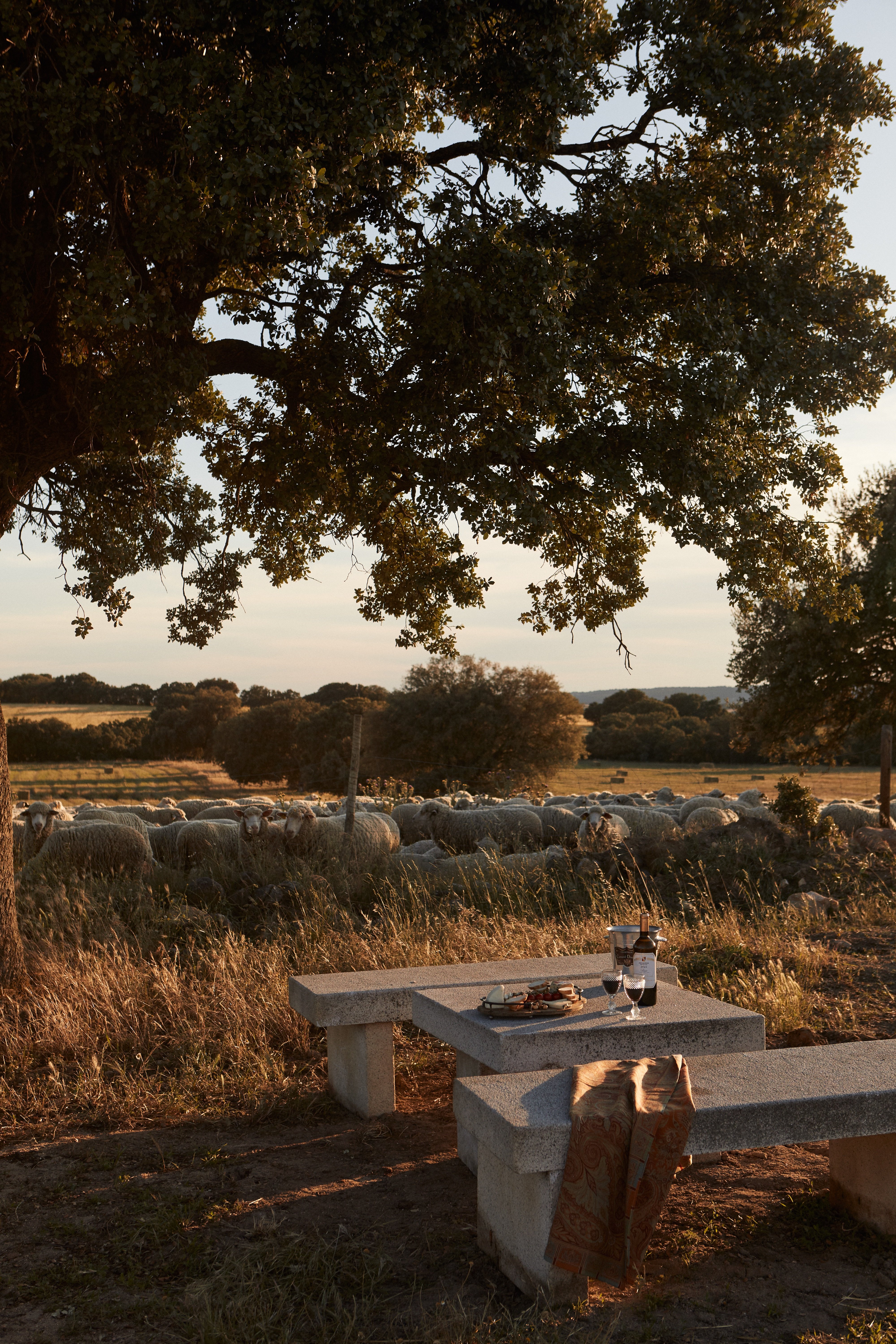 Hotel Rural Caserío de Aldeallana-portrait