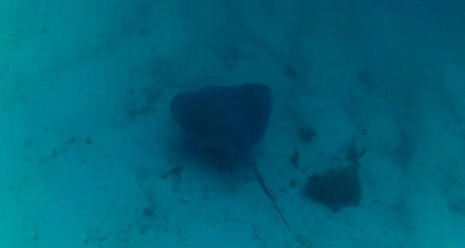 Acqua World-阿拉伊阿尔港必去景点