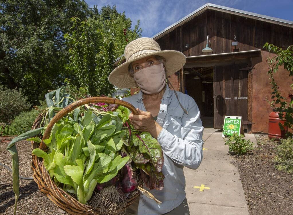 Sonoma Garden Park景点图片