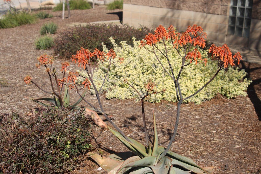 Westwind Park-安大略必去景点