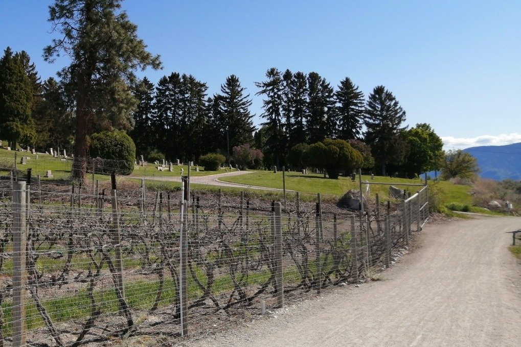 Pedego Electric Bikes Penticton-彭蒂克顿必去景点