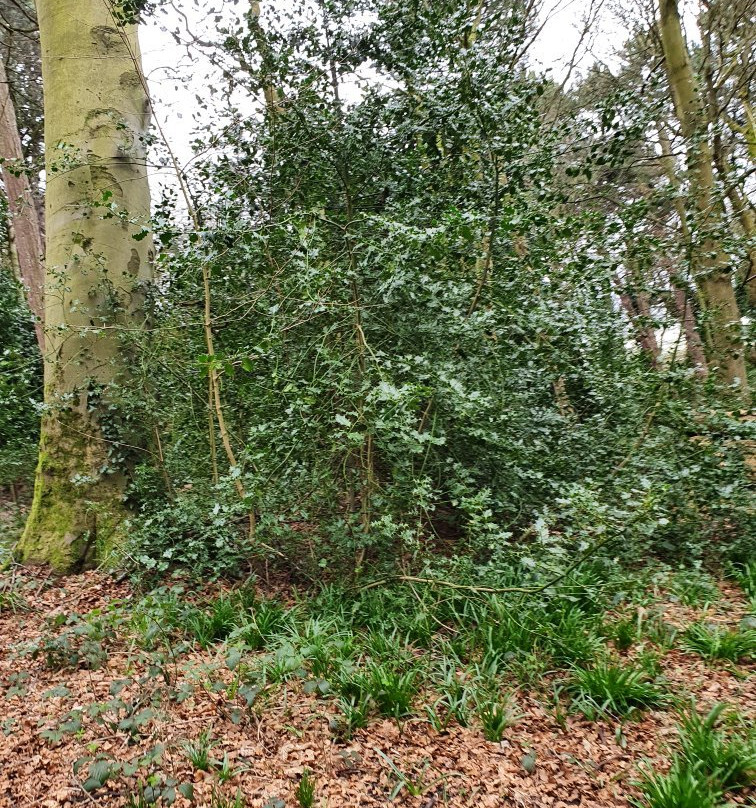 Kirkby Valley Greenway