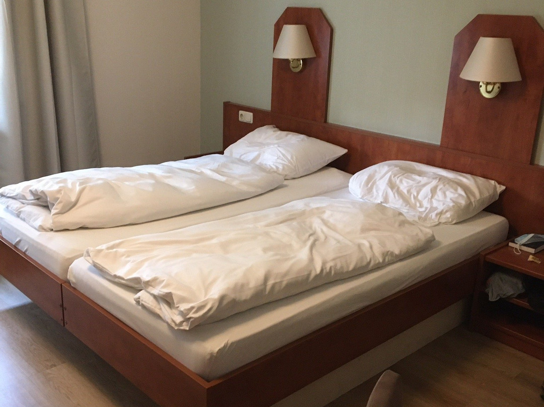 伽尼酒店昂德灵格图姆店主图