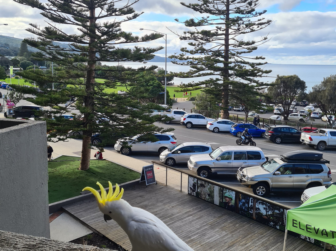 坎伯兰洛恩度假村主图