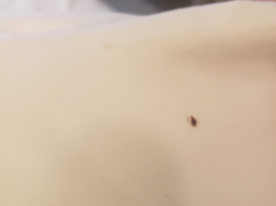 Home Inn & Suites - Yorkton主图