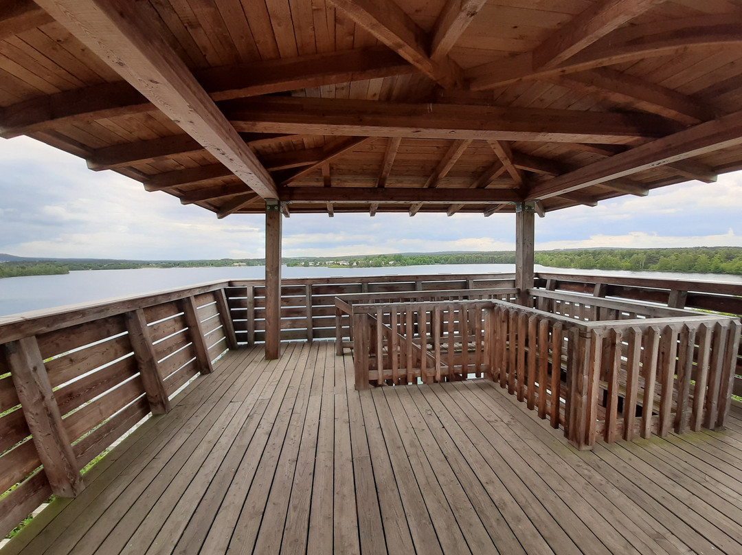 Aussichtsturm am Ufer des Murner See景点图片