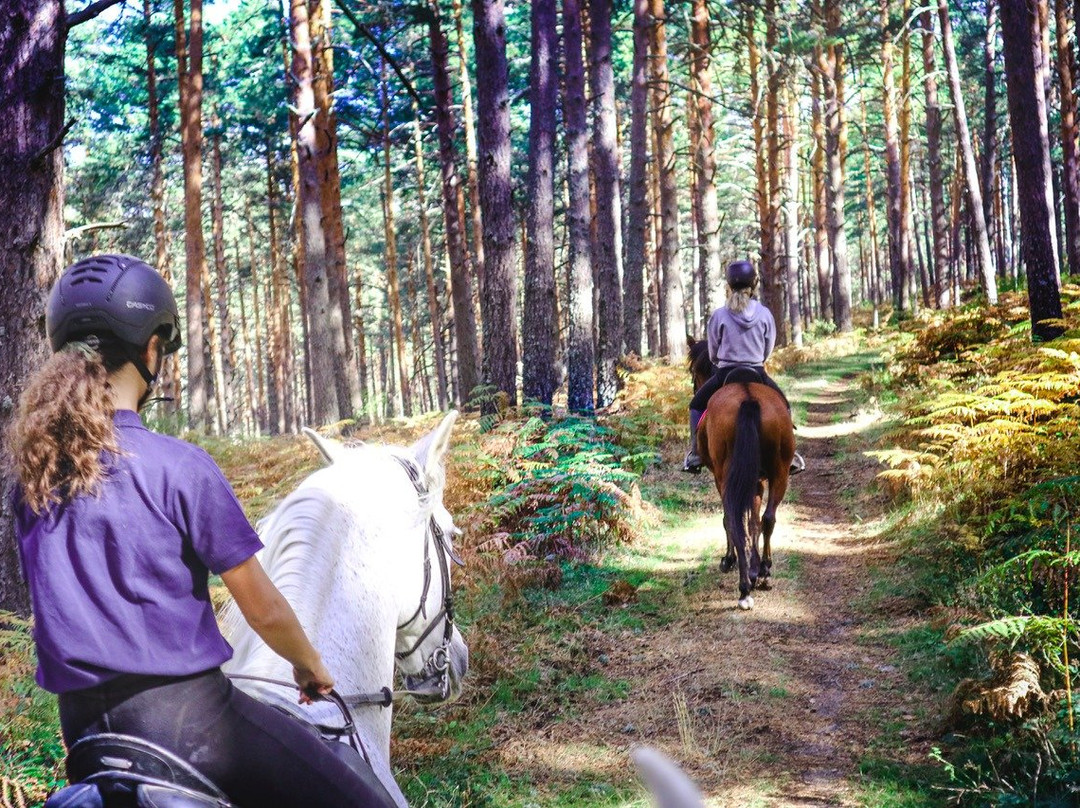 Horse Riding in Madrid - Guadarrama景点图片