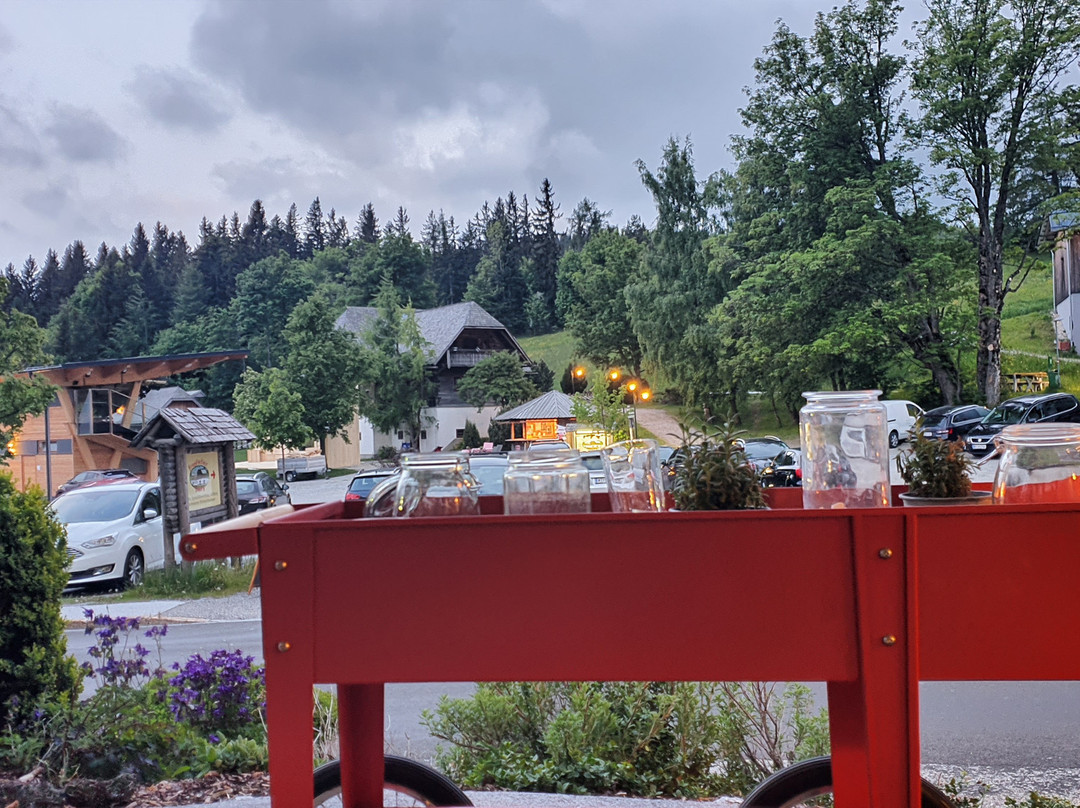 Naturhotel Bauernhofer主图