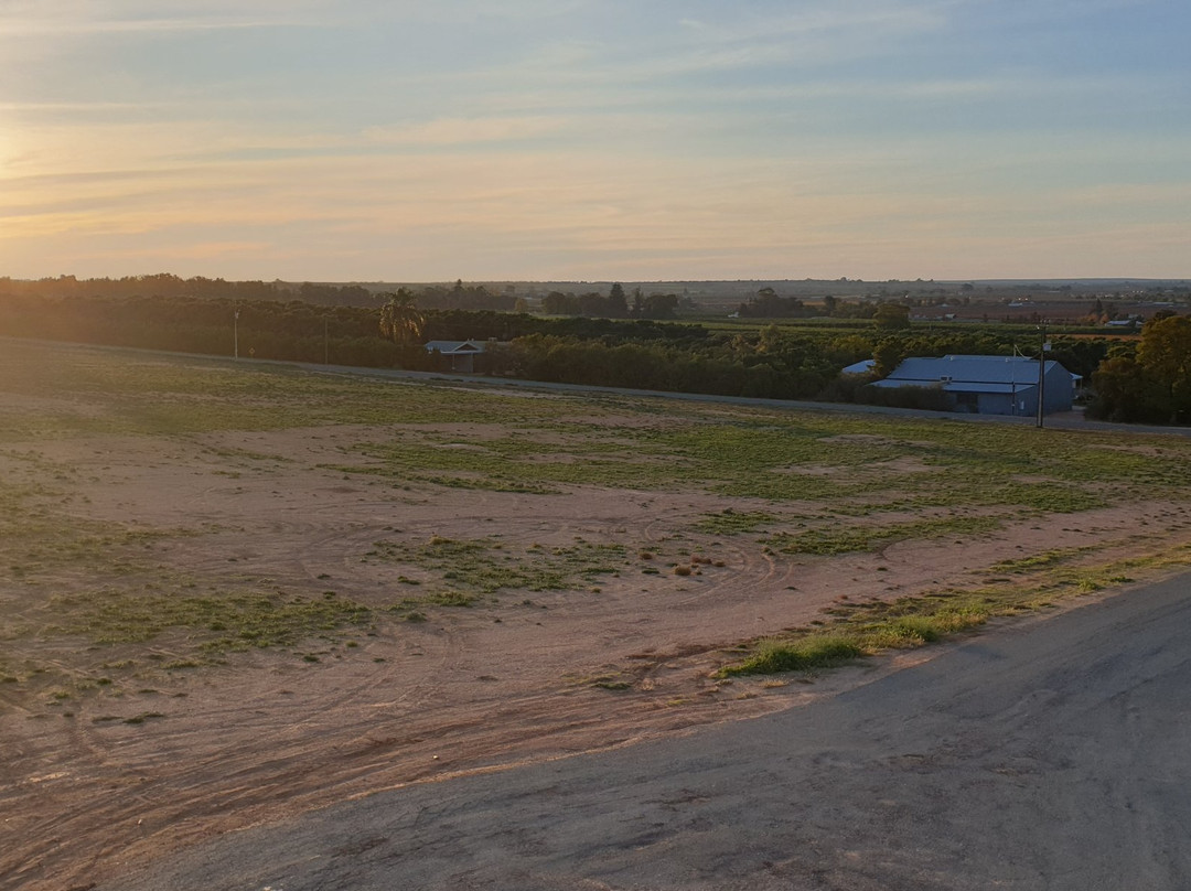Renmark Rotary Township Lookout Tower-Renmark必去景点