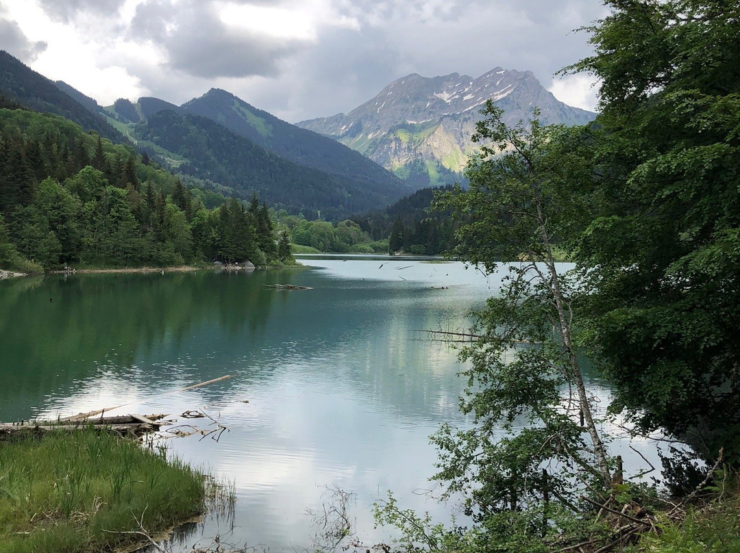 Lac de Vallon景点图片