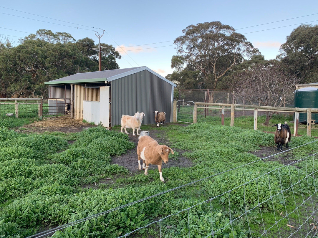 Breakaway Farmstay主图