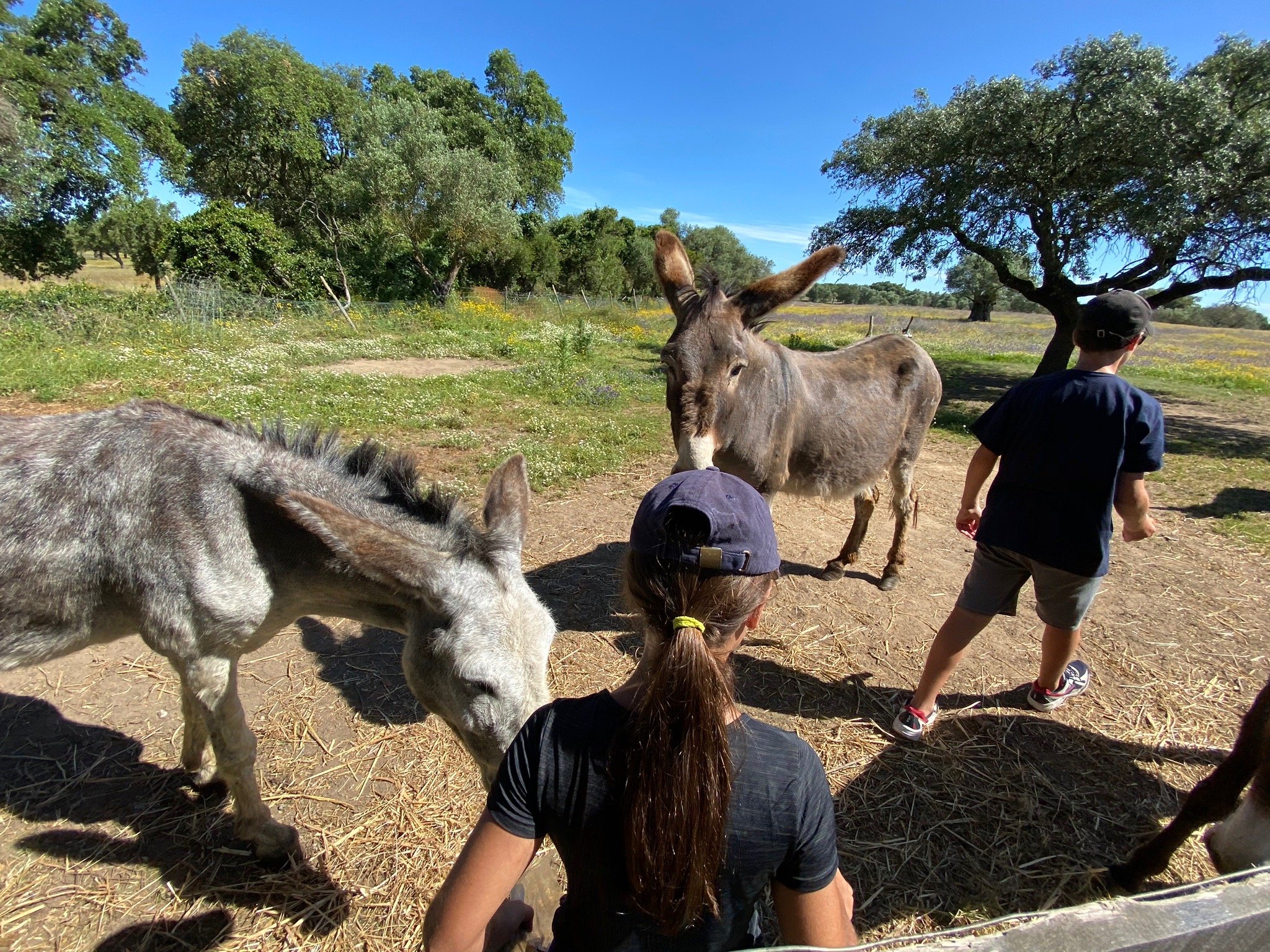 Quinta do Cano-官方